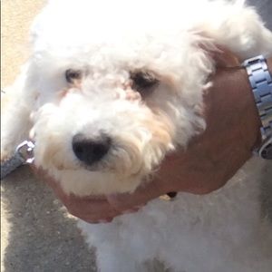 Meet your Posher, Eileen